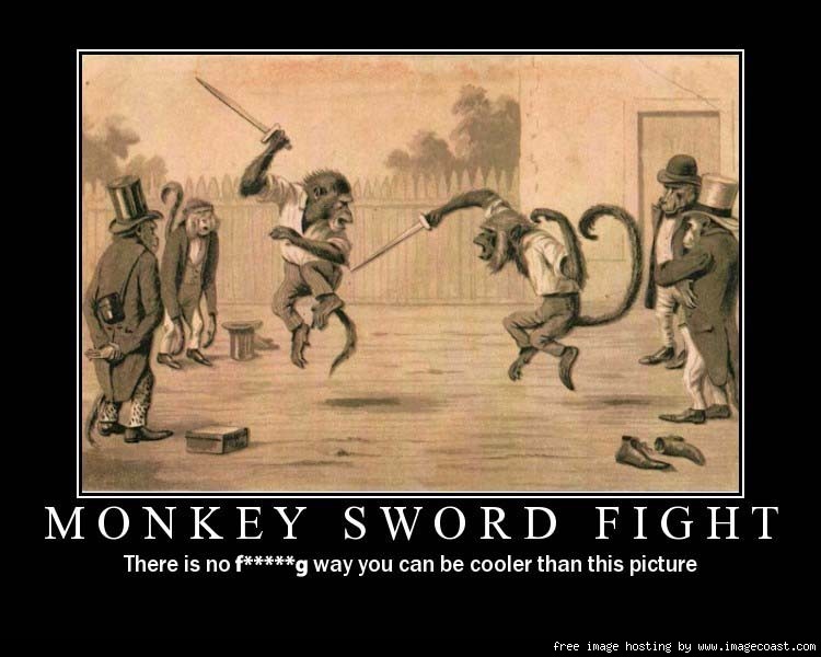 monkey.jpg