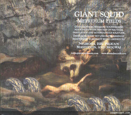 Metridium Fields