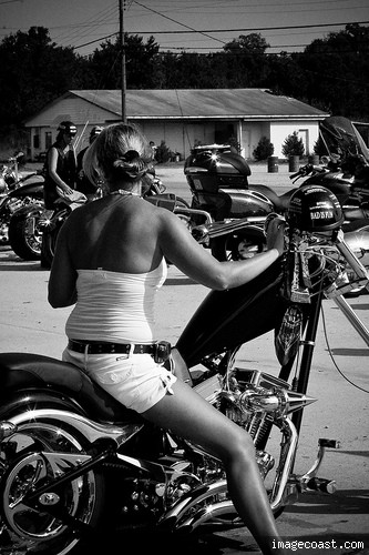 free image hosting by http://www.imagecoast.com/