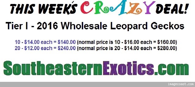 thisweekscrazydeal082216.jpg