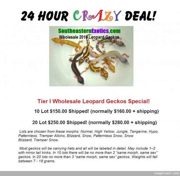 tiericrazyspecialoffer080216.jpg