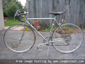Panasonic 10 speed best sale bike